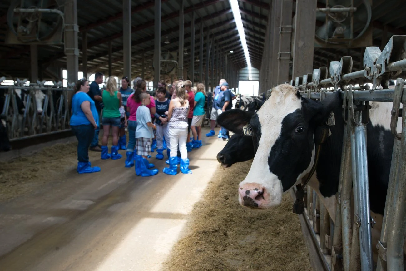 Waterbeds, ice cream and family — All in a dairy tour!
