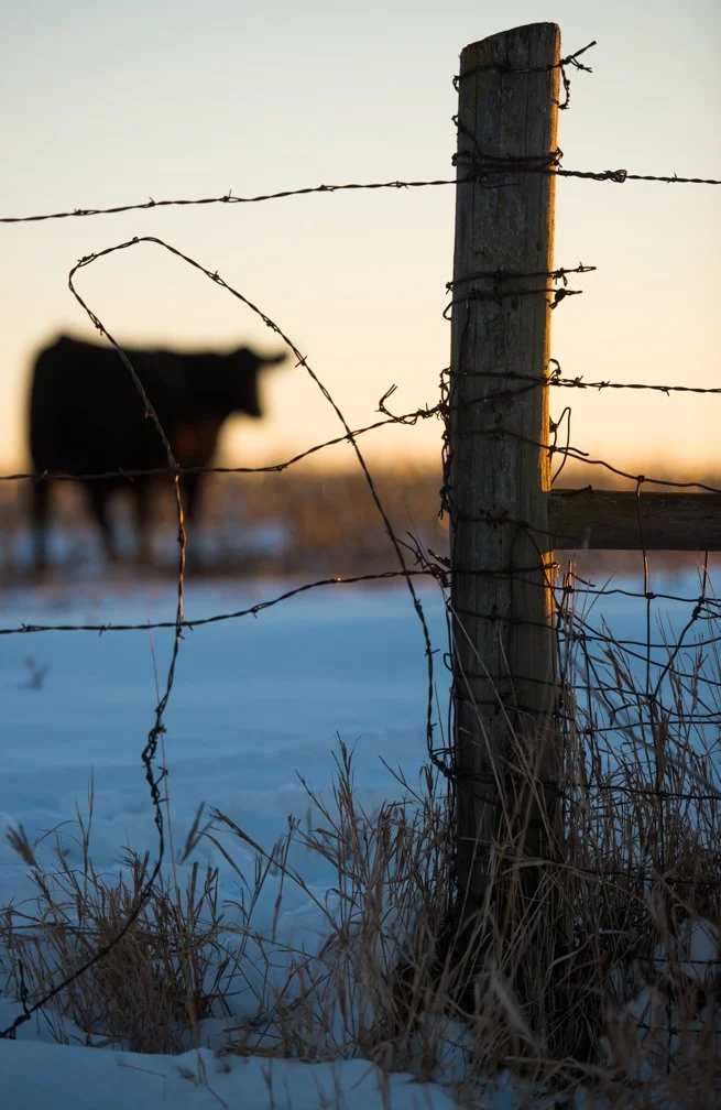 Bitterly cold air invades Iowa
