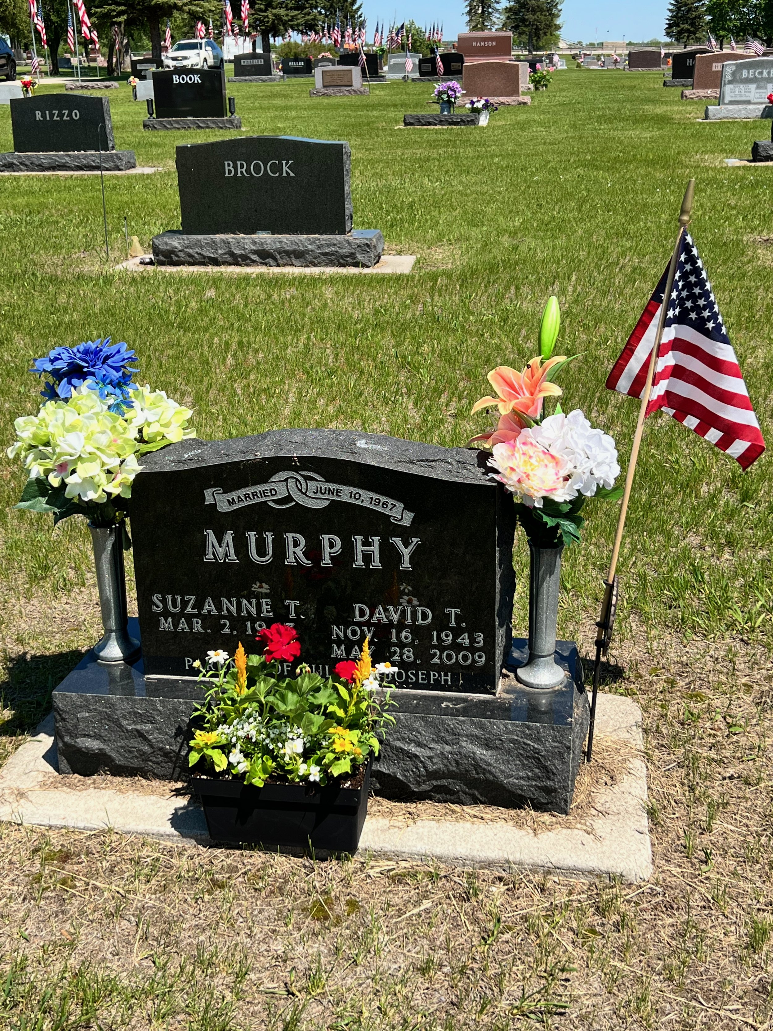 Iowa deer population at tragic numbers