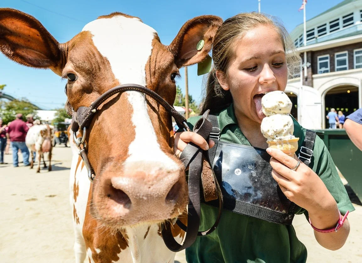 Why the Iowa State Fair Keeps Me Coming Back Year After Year