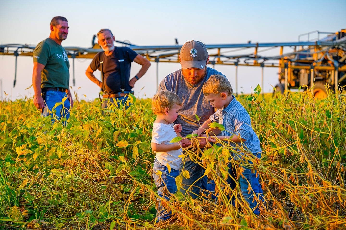 Generations at harvest