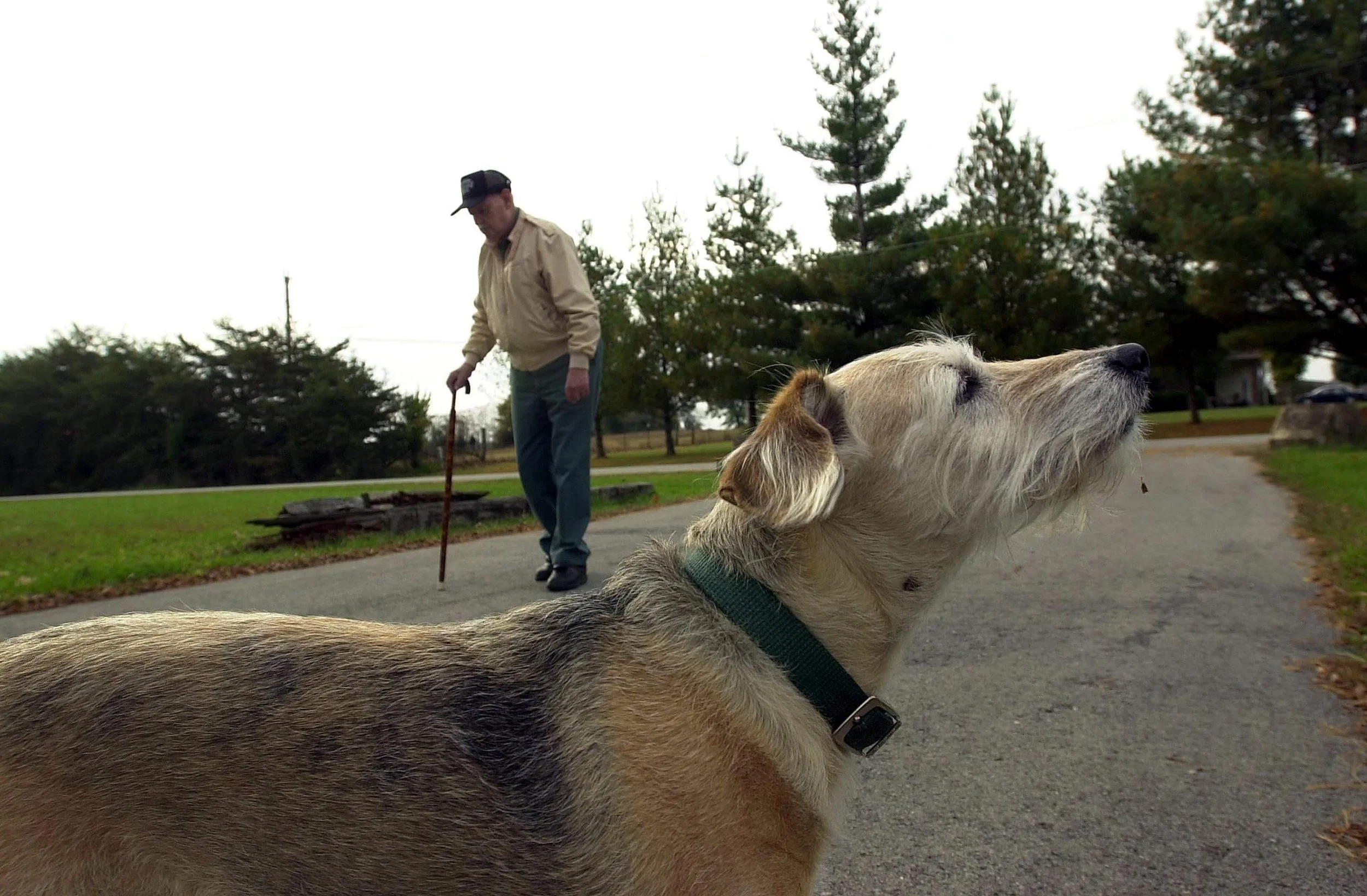 Career Lessons from a Moonshiner