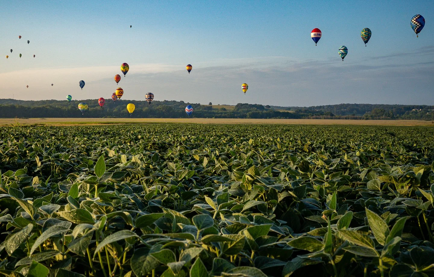 Celebrating the Midwestern Spirit through Landscapes