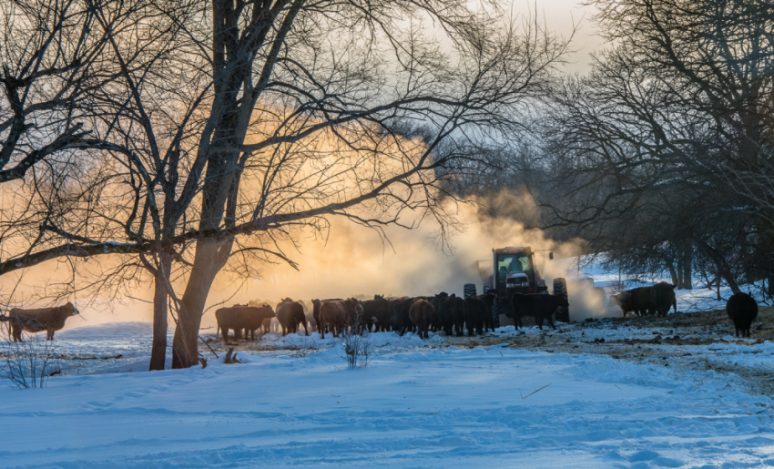 Polar vortex hits state