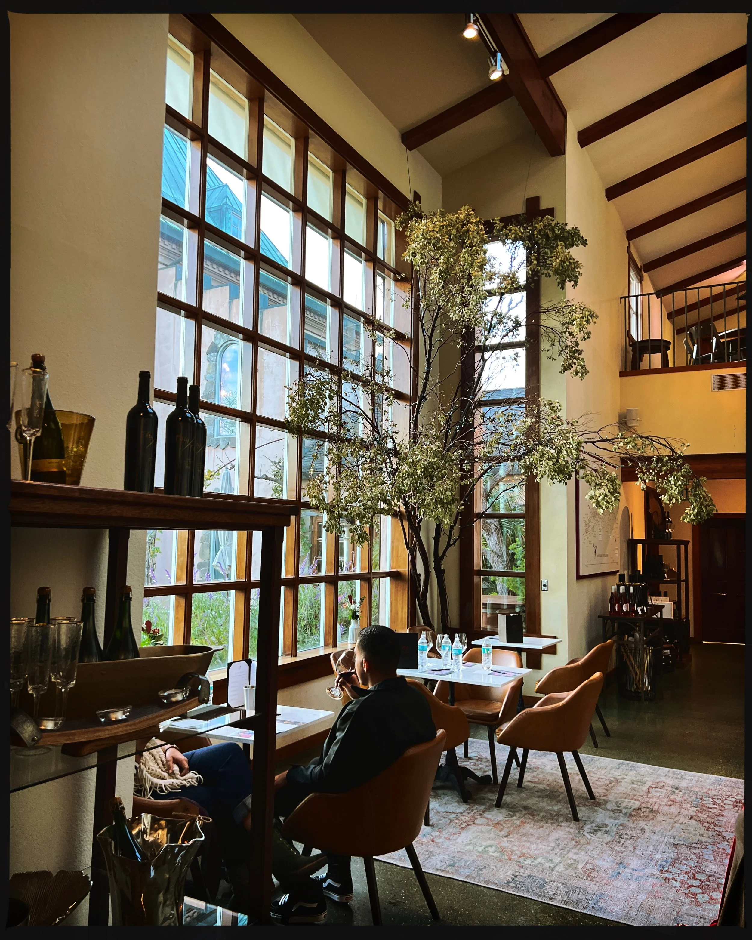 Napa Valley Vineyard