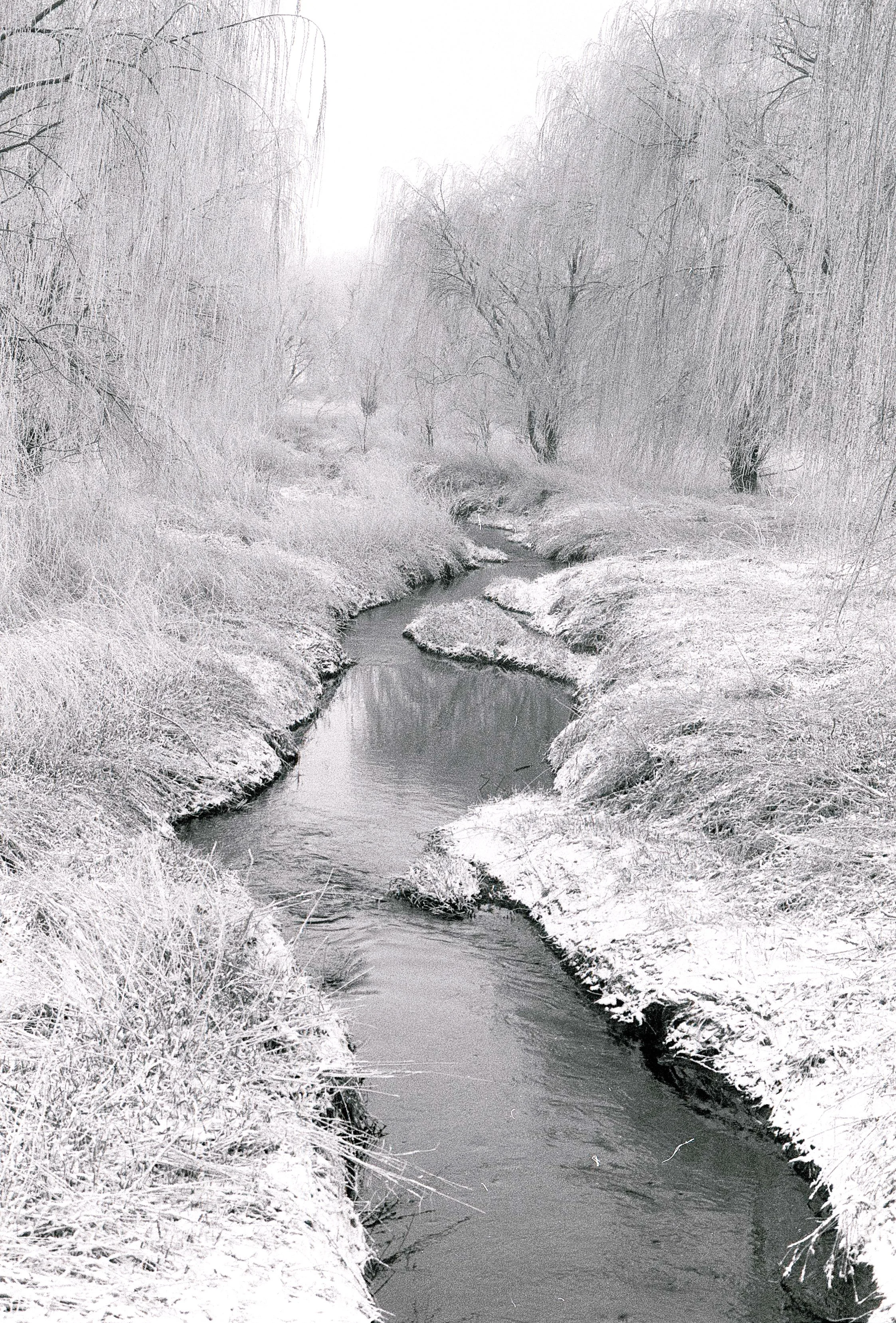 Winter Stream