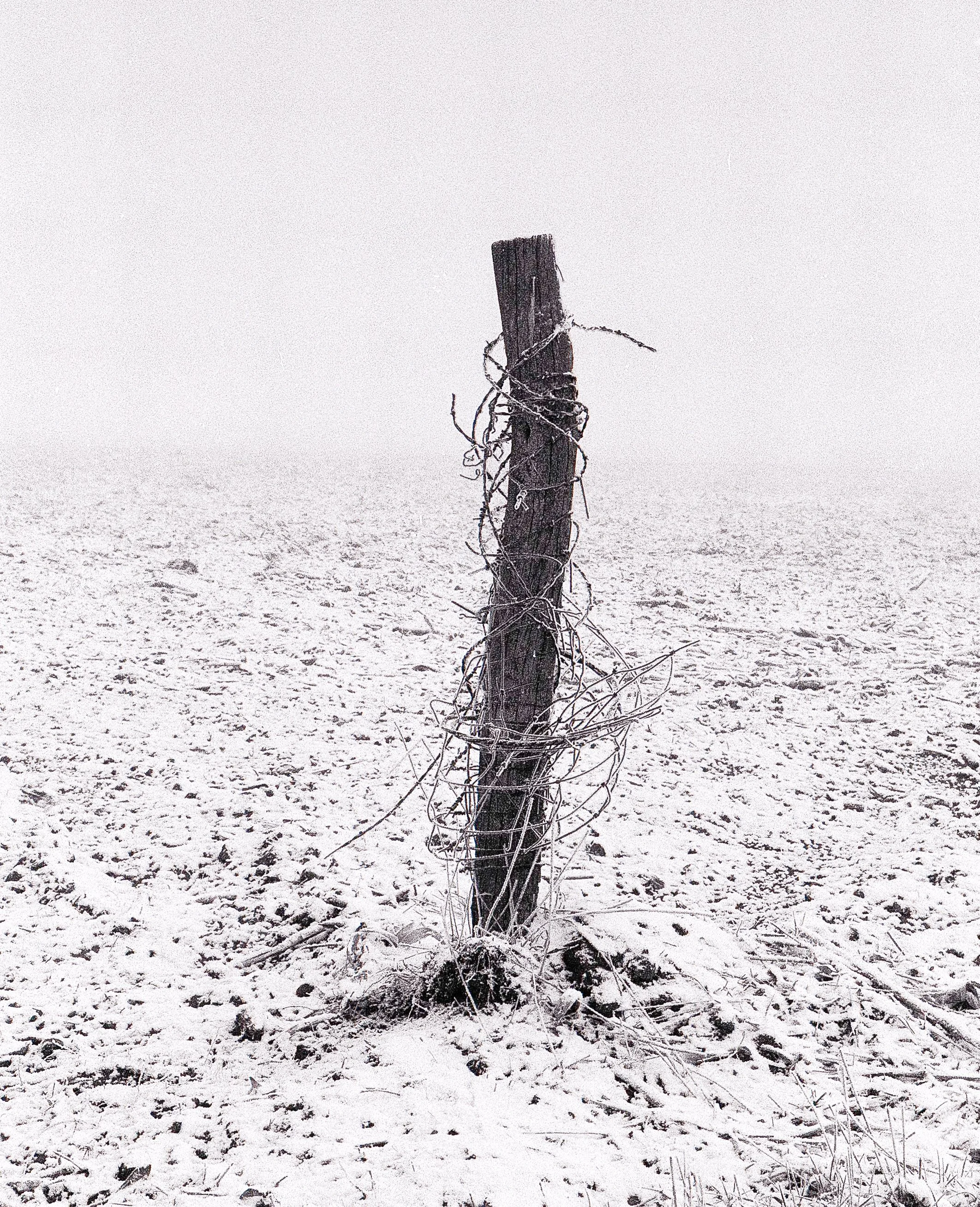 Archive Family Scan (12).jpg