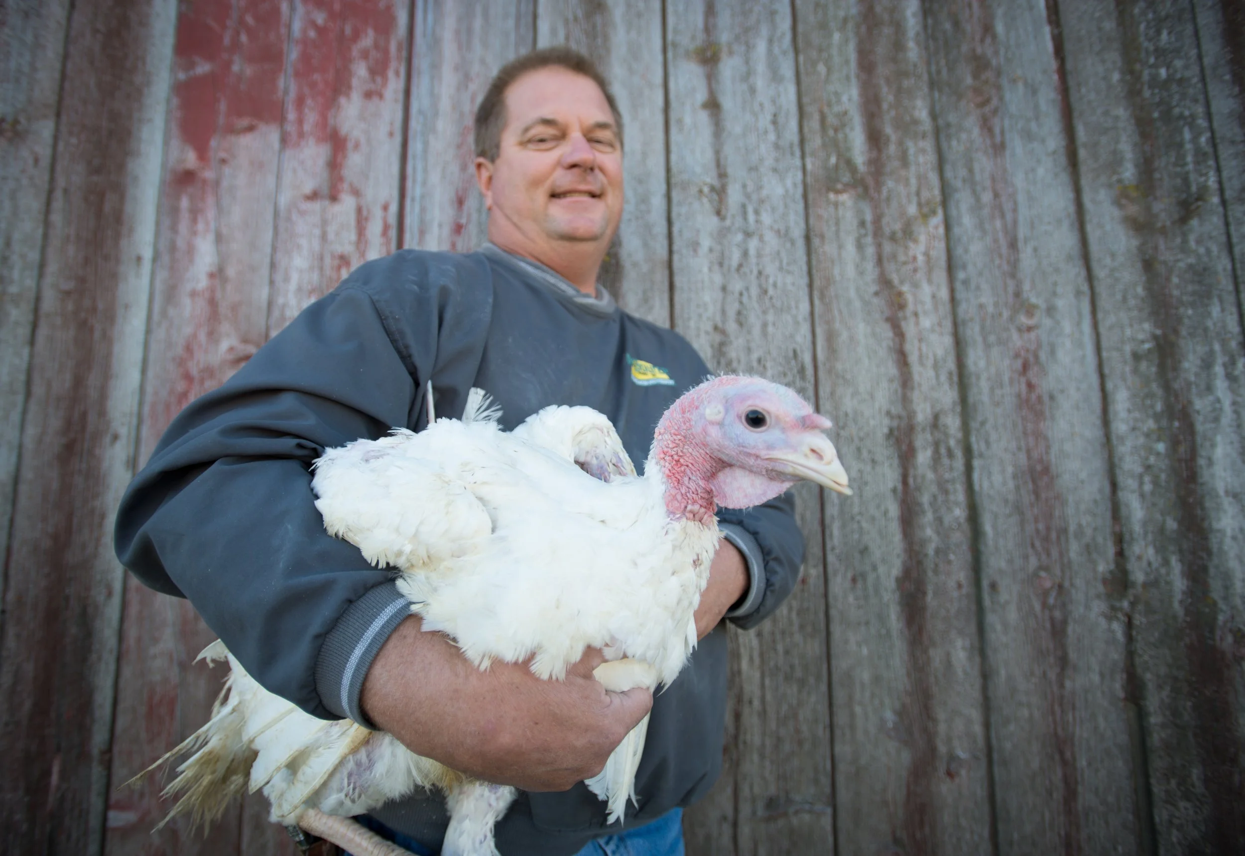 Turkey Farmer