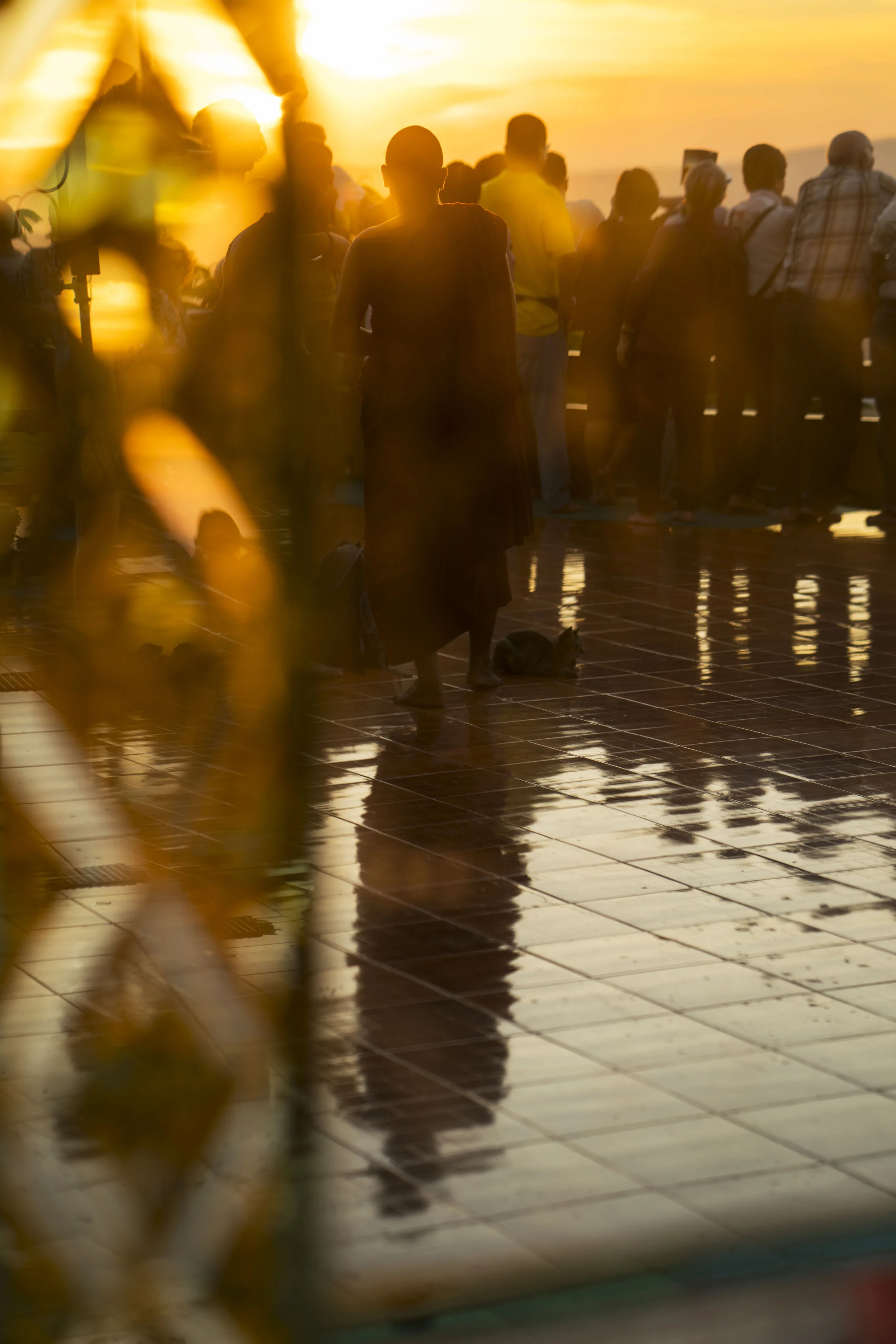 sunset, monk.jpg
