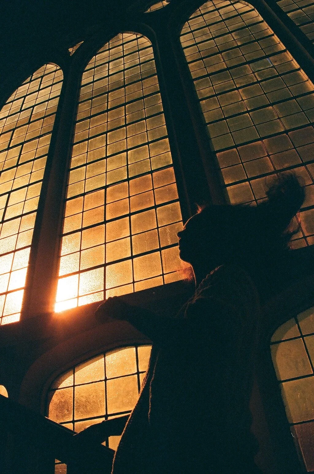 Golden 1.JPG