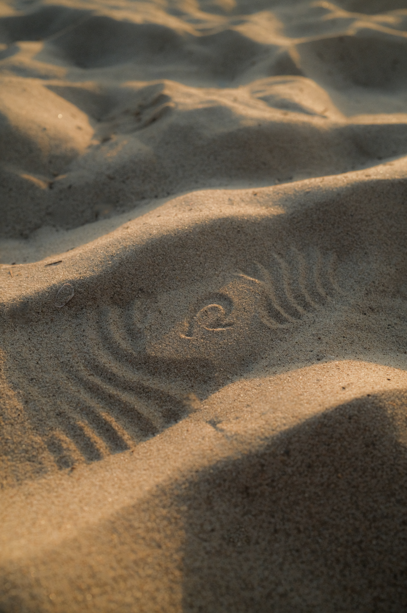 Screen Shot 2022-08-29 at 9.52.20 PM.png