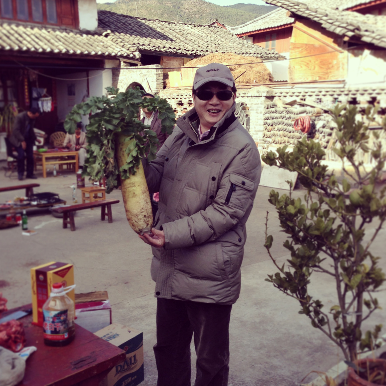 We also picked some super large & fresh turnips