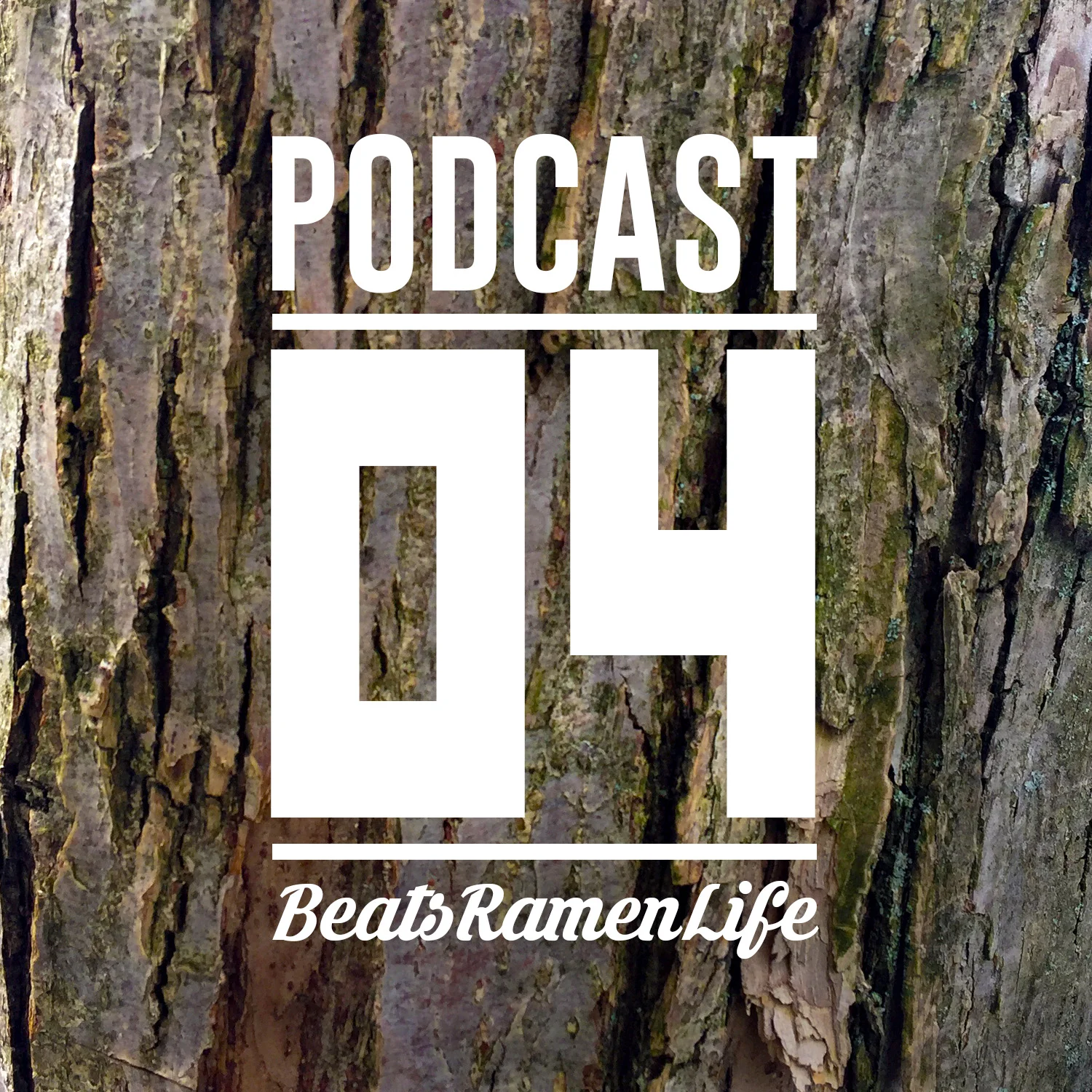 Podcast Cover 04.jpg
