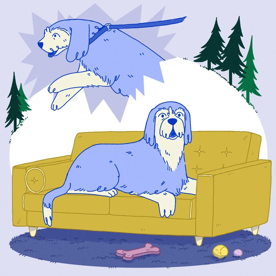 1-Alfi-Illustration.jpg