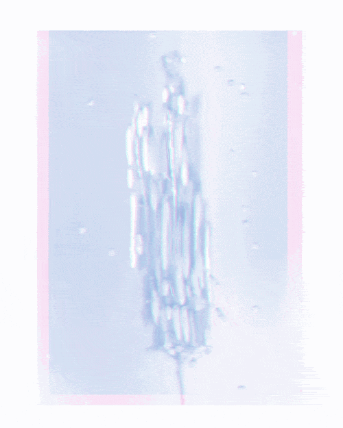 Anijam25_Gif_10.gif