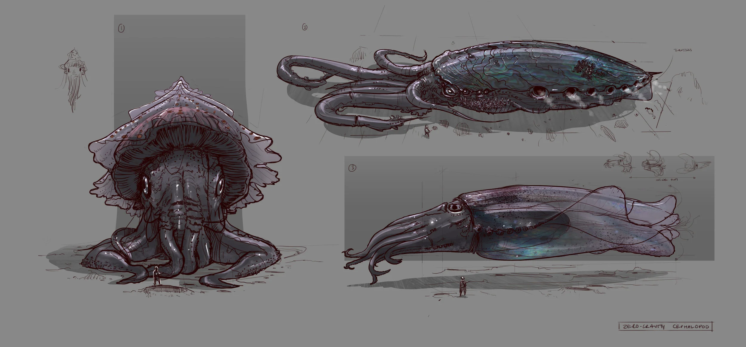 Squid_02.jpg