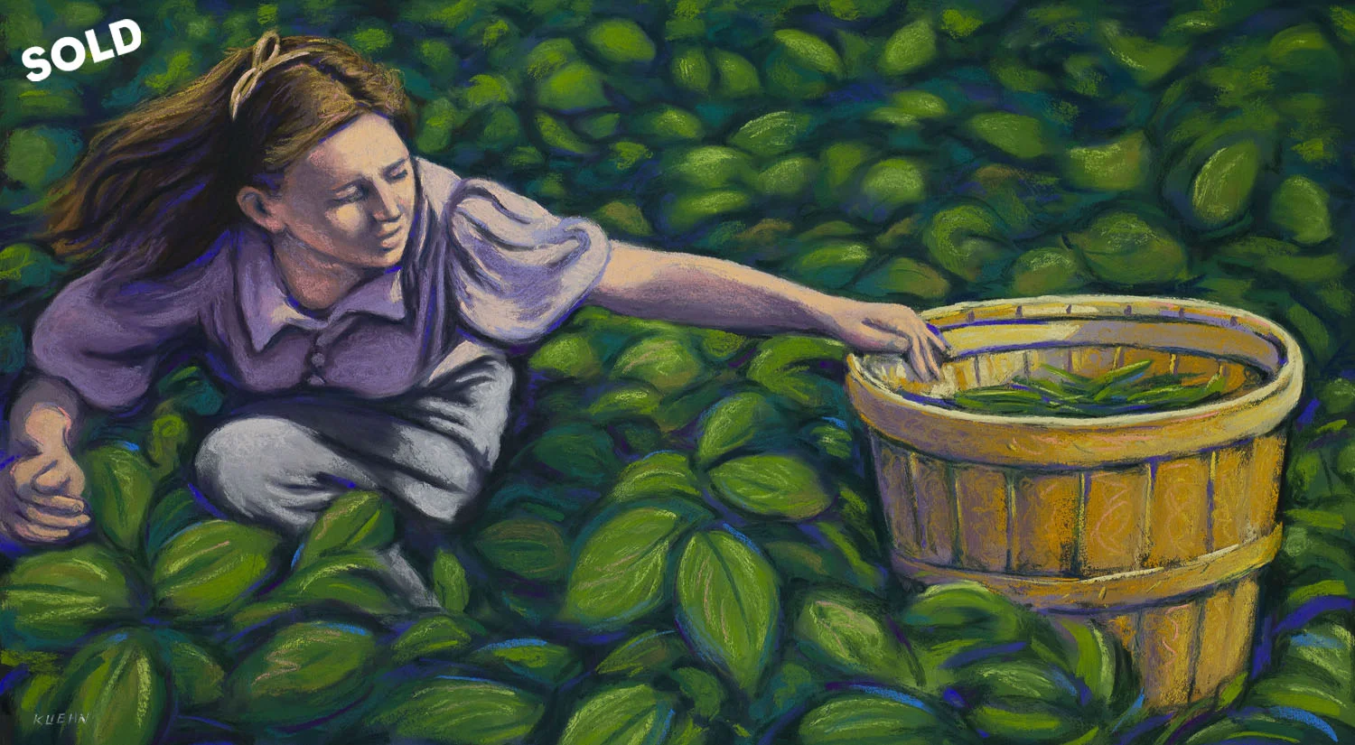 Picking Green Beans