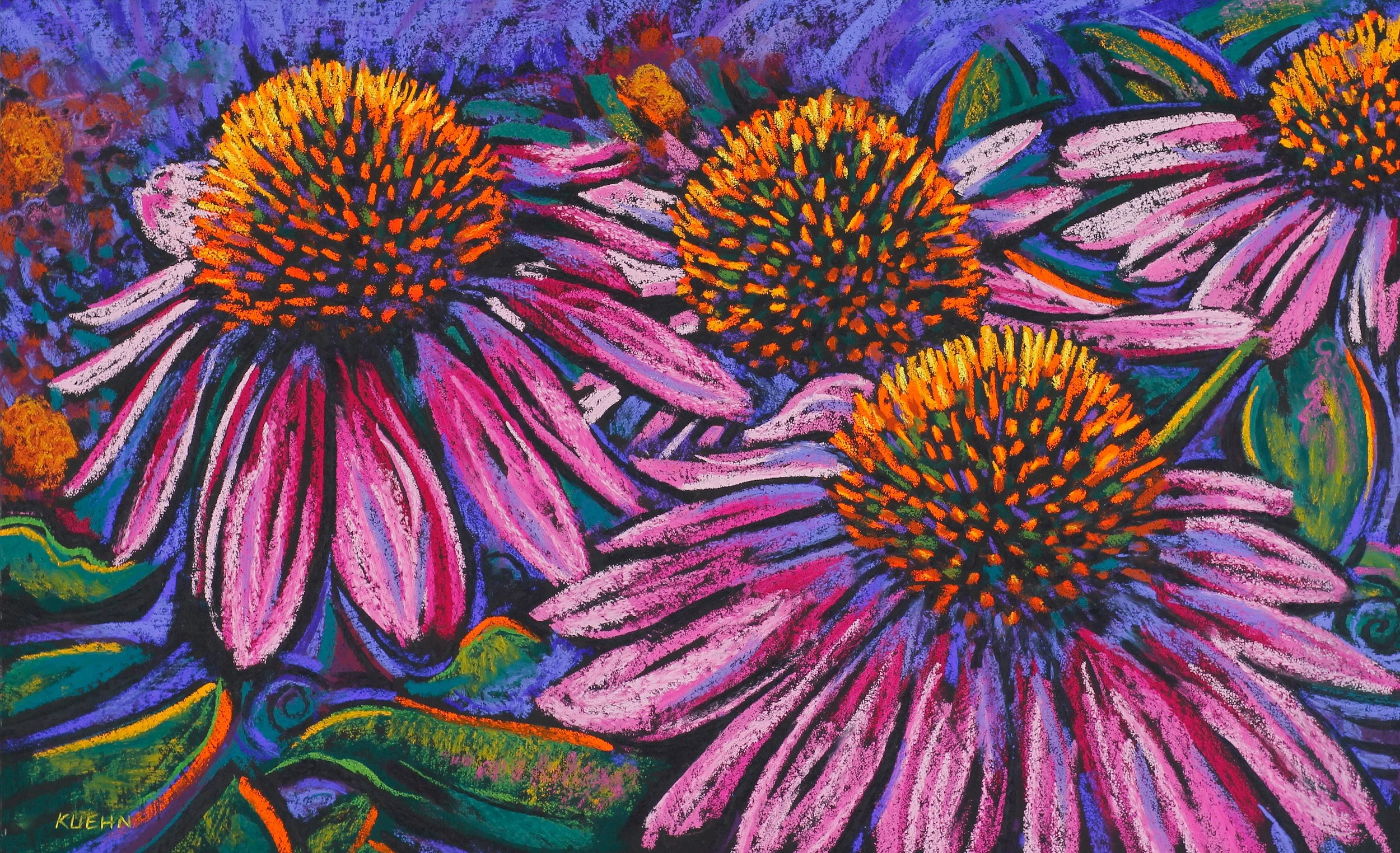 ConeFlowers#2.jpg