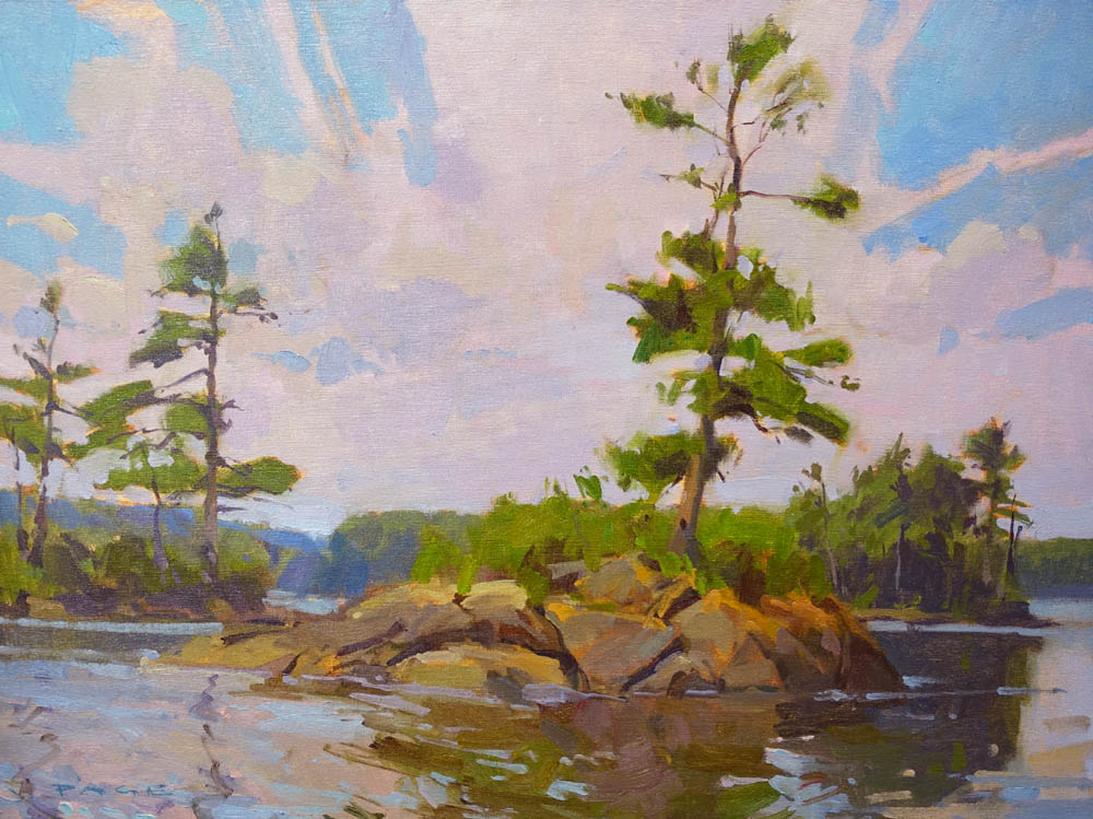  Pine Island  on display at Greenhut Gallery, Portland, ME  18x24" oil on canvas $2500    
