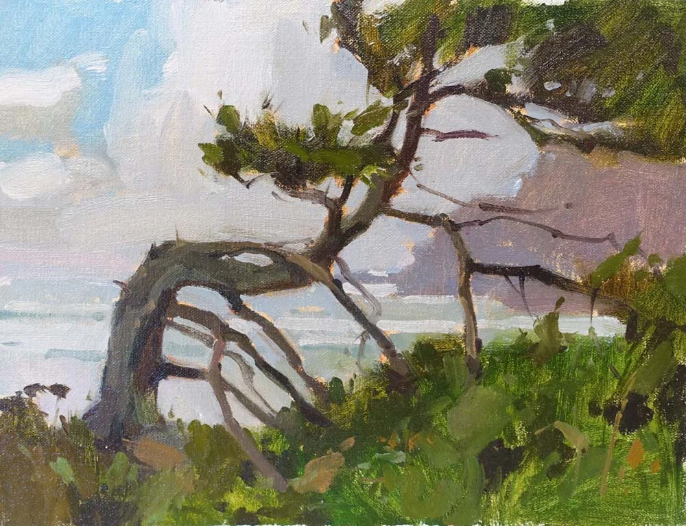 Coastal Pine 9x12.jpg