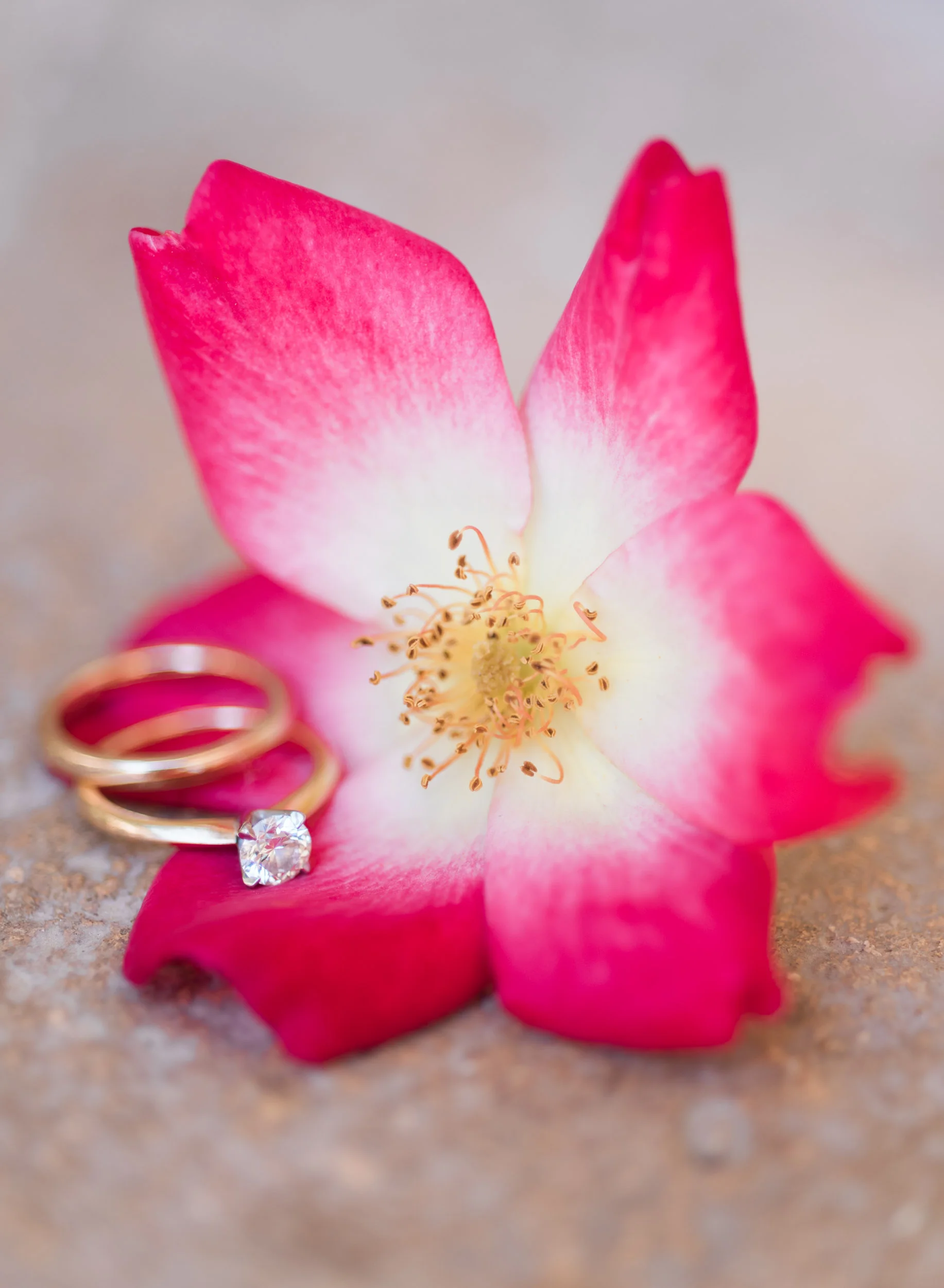 emmapetewedding-4.jpg