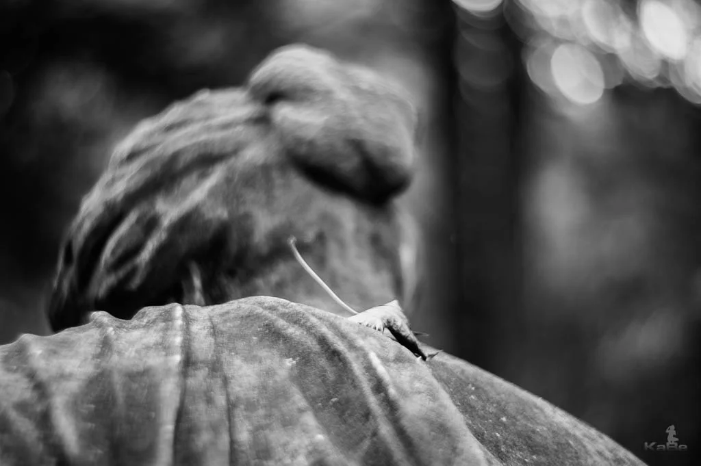 _KGB9168-Bearbeitet.jpg