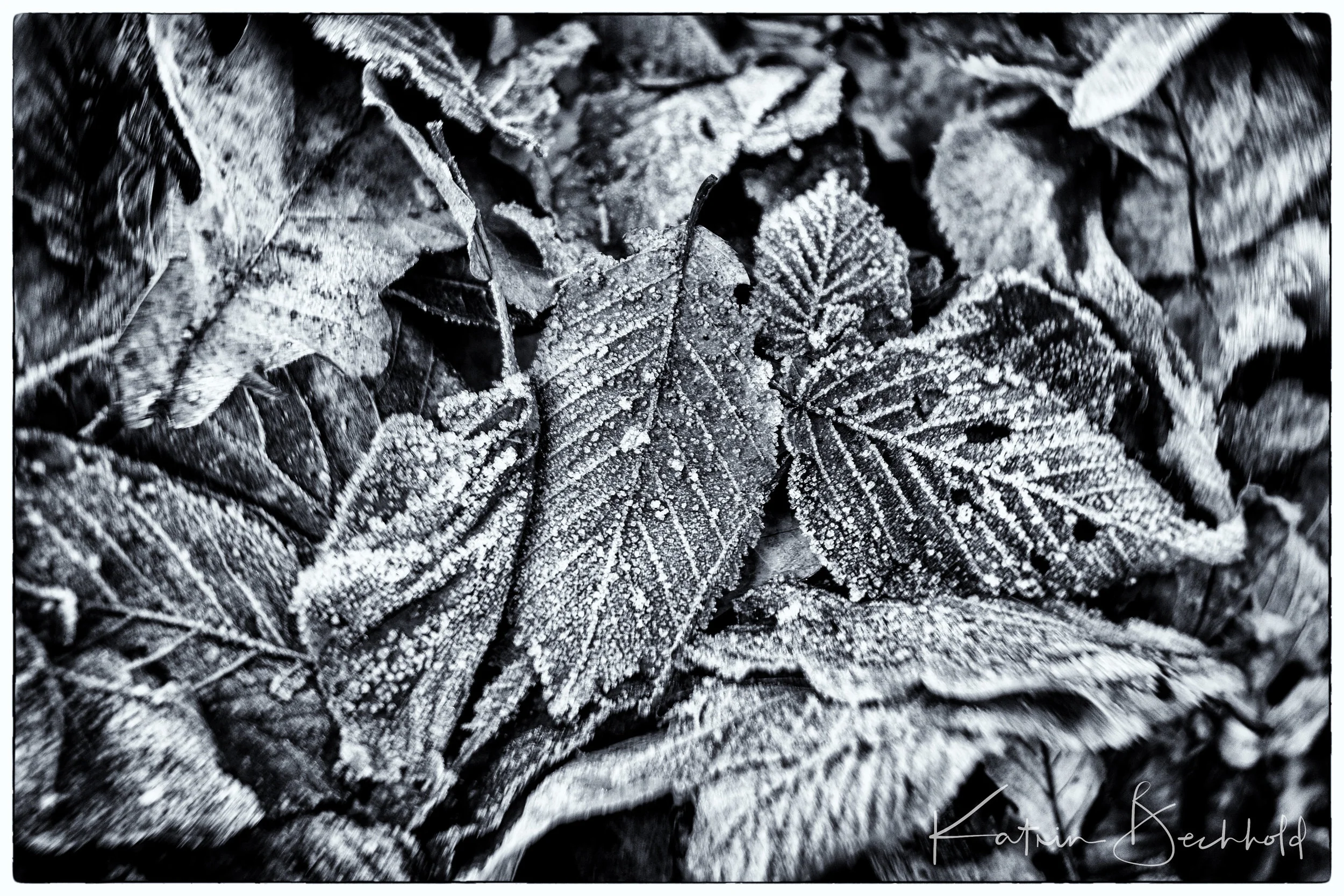 Winterspaziergang