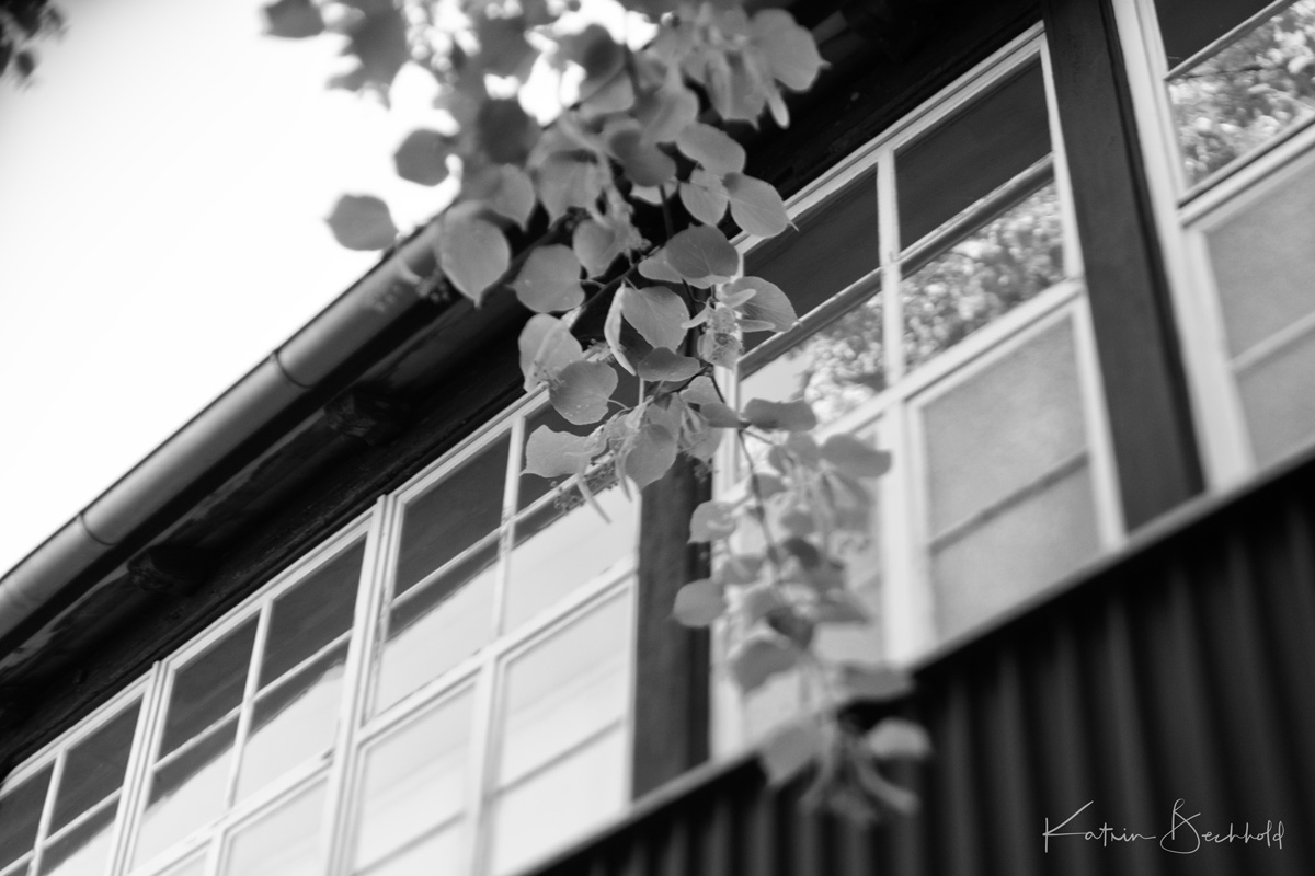 InstaErlangenshots-8187.jpg