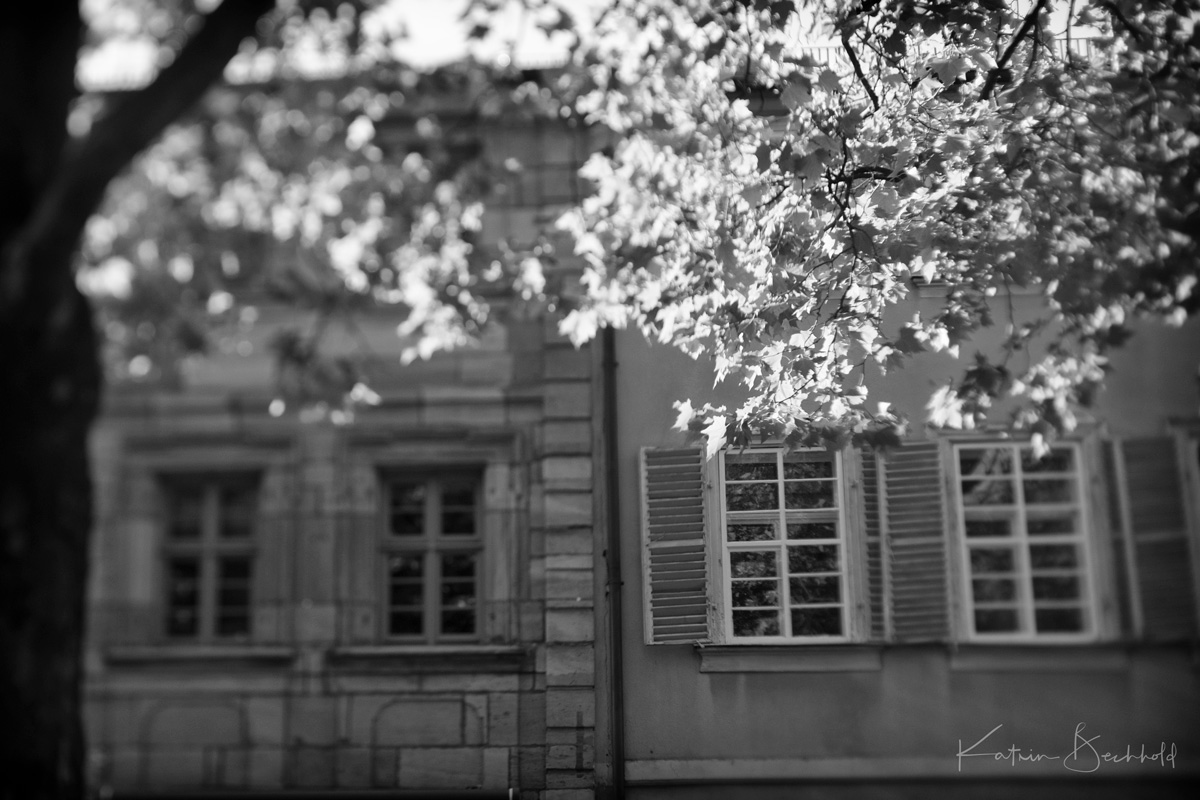 InstaErlangenshots-8203.jpg