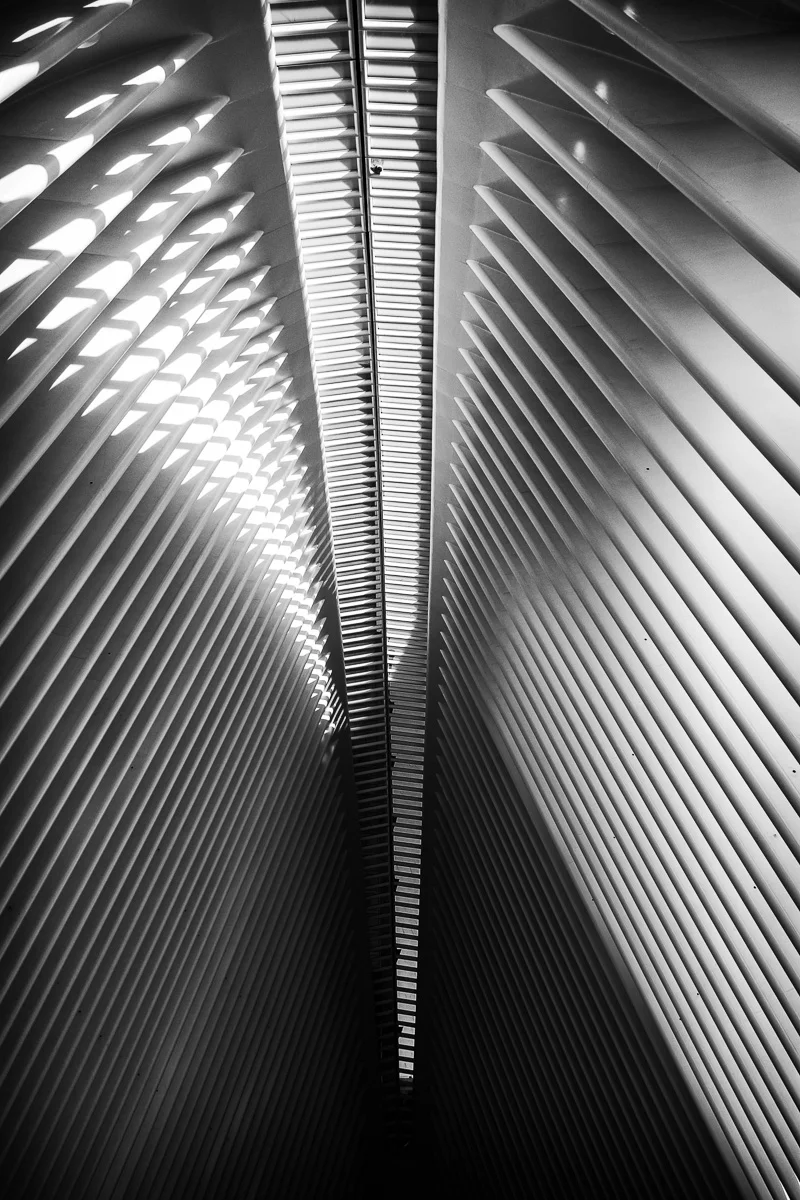 Oculus by kgb 2017-2.jpg