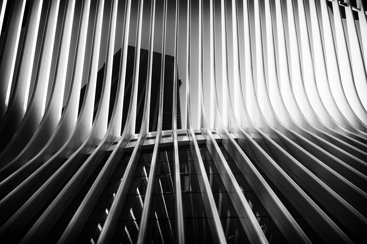 Oculus by kgb 2017-5.jpg