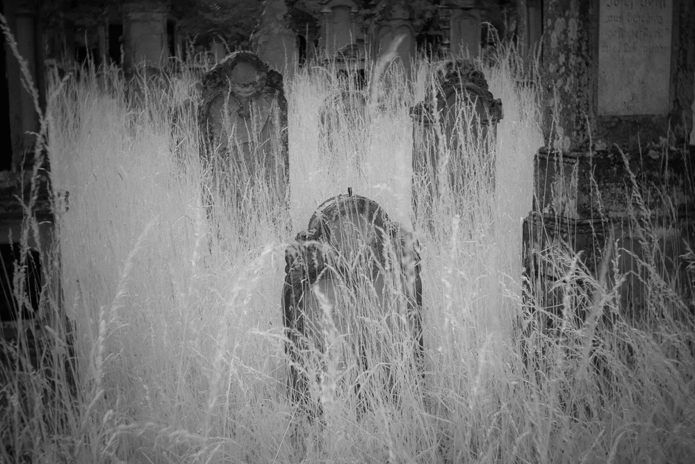 Katrin Bechhold TB cemeteries-1.jpg