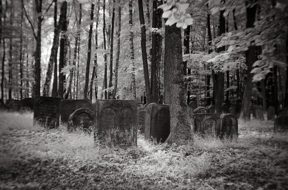 Katrin Bechhold TB cemeteries-5.jpg