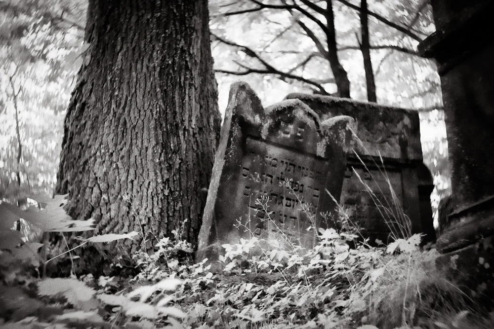 Katrin Bechhold TB Cemetery-22.jpg