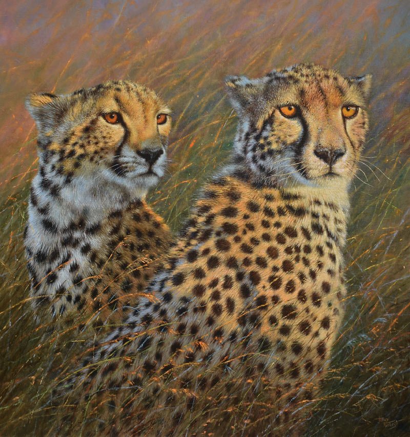 Cheetahs of the Mara