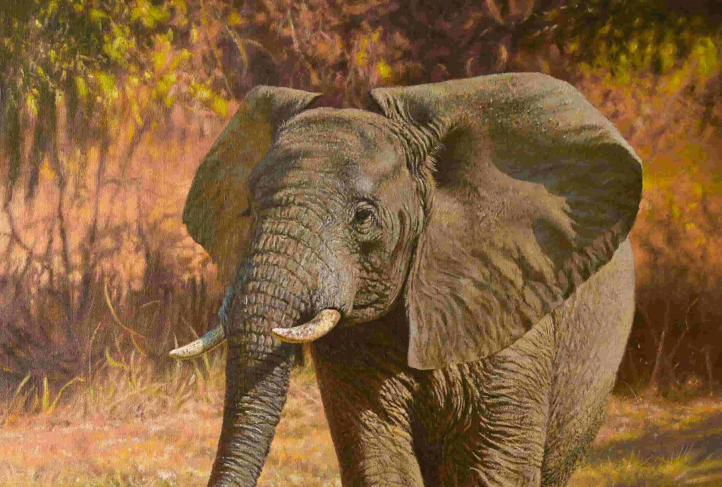 Playful Elephant