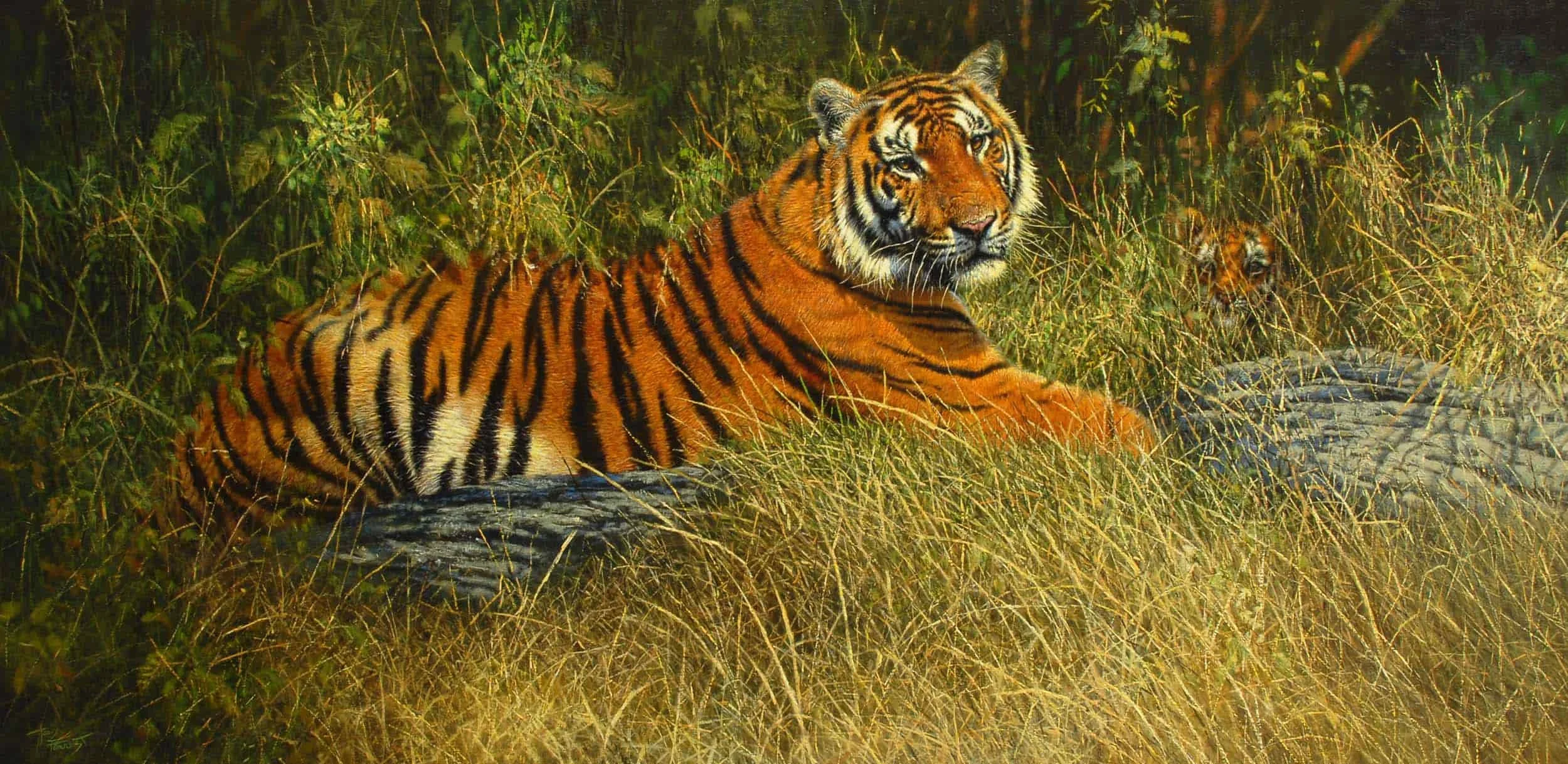 Tiger