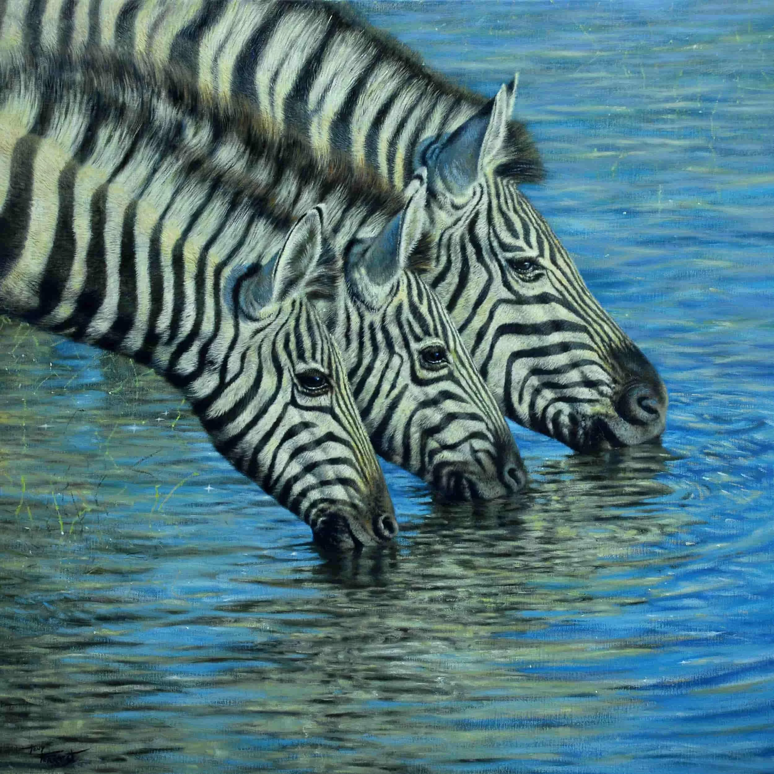 Cool Waters