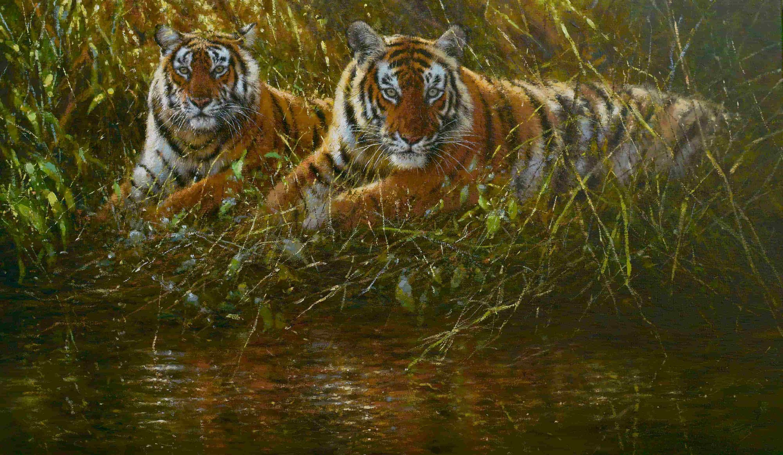 Water Tigers