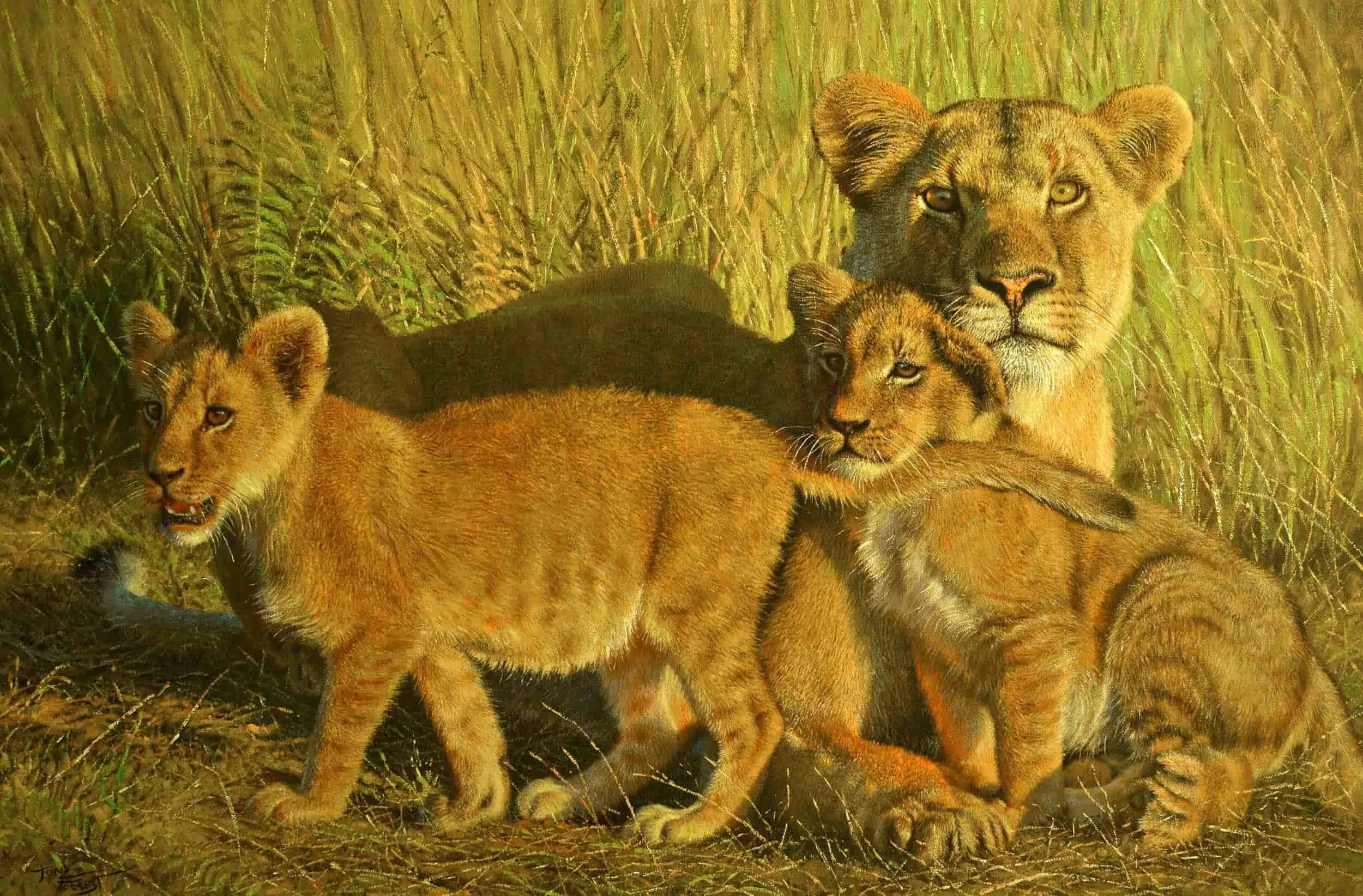 Protection and Affection
