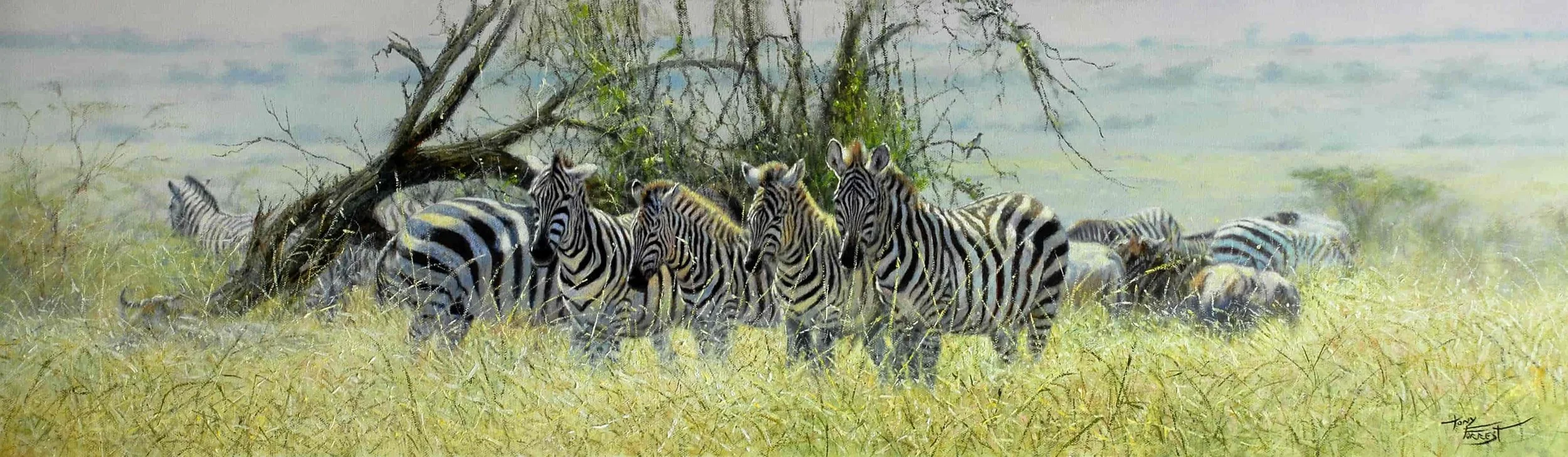Safety In Numbers