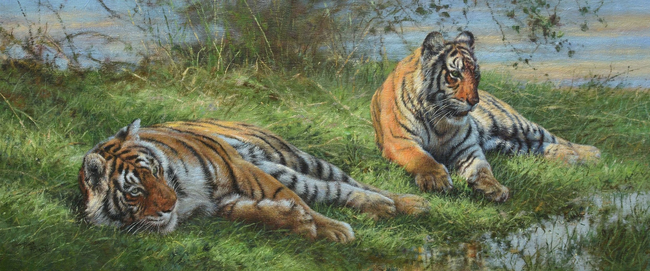 Afternoon Siesta