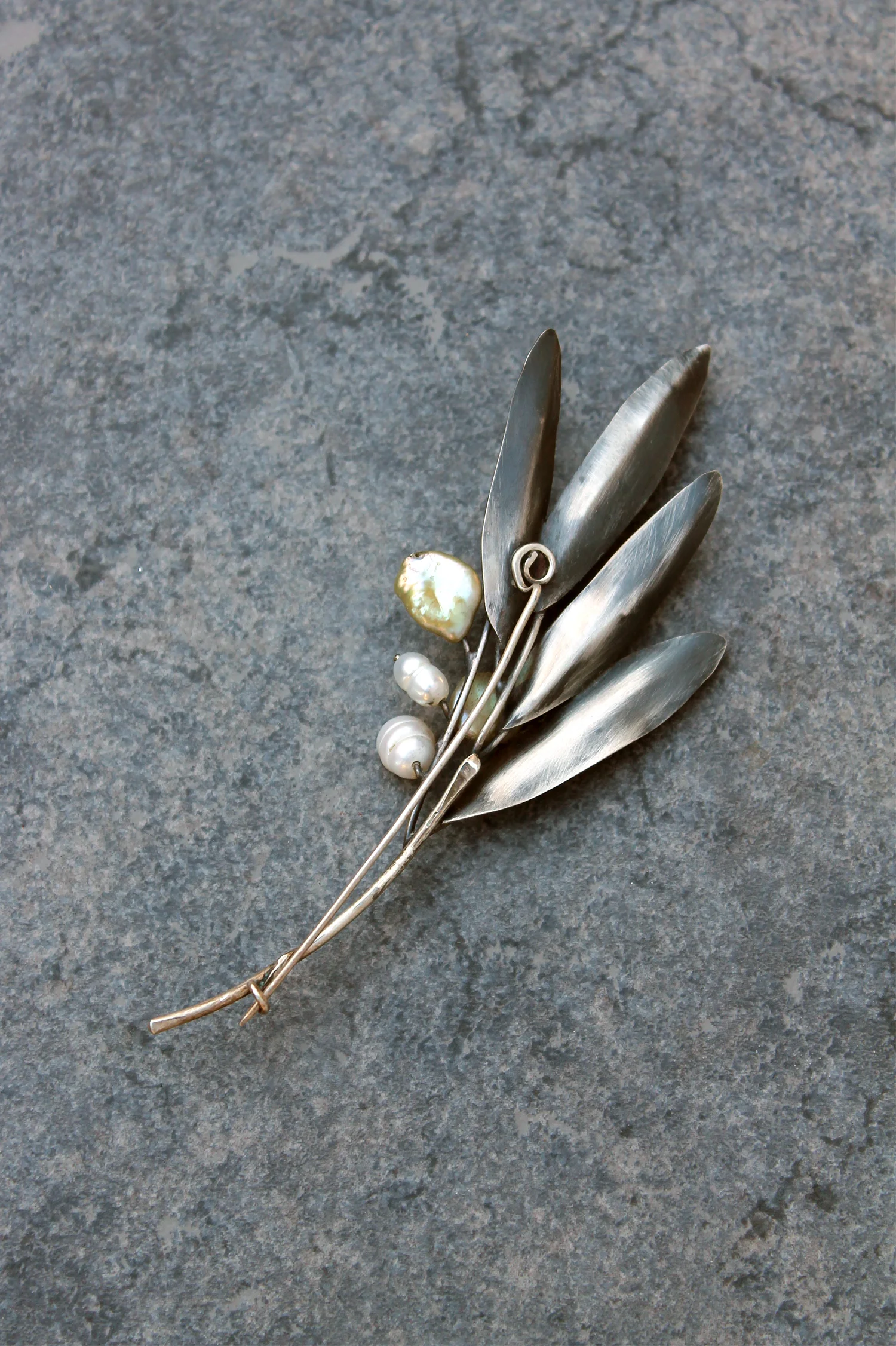 pin001c Olive leaf.jpg