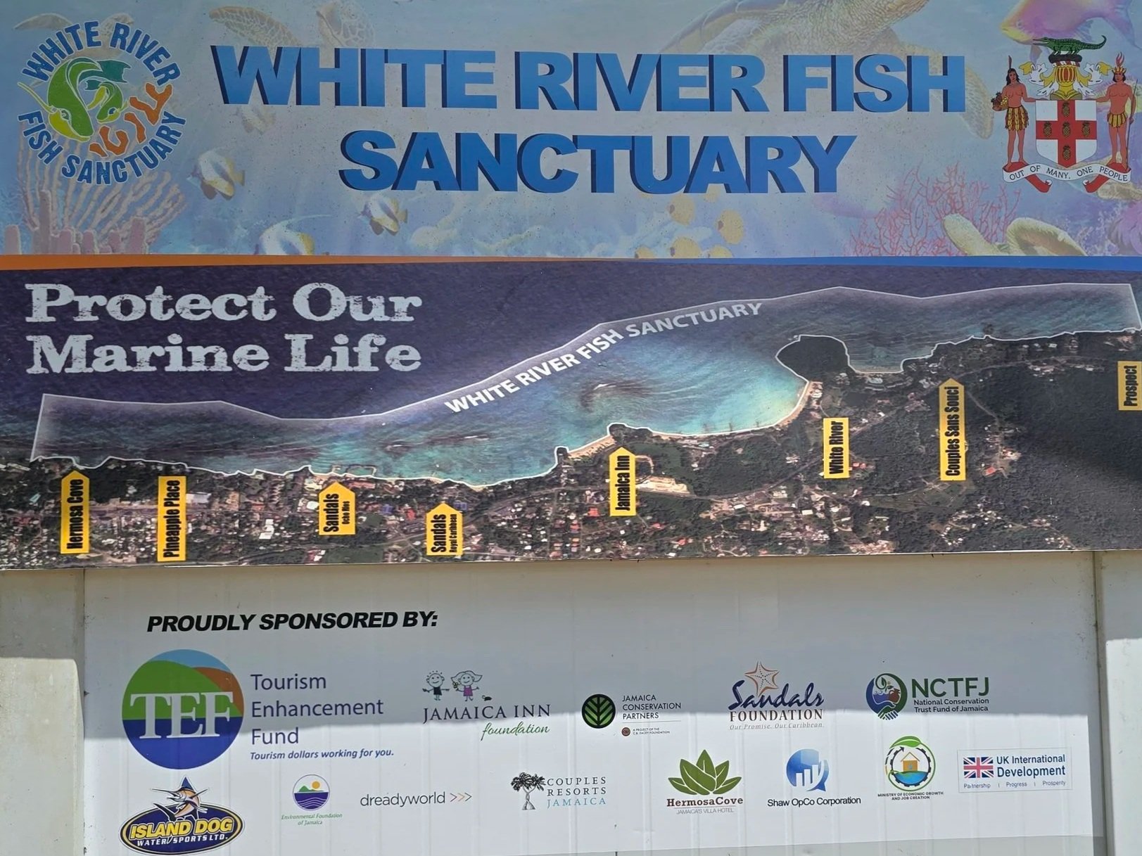Ocho Rios fishermen become guardians of the sea