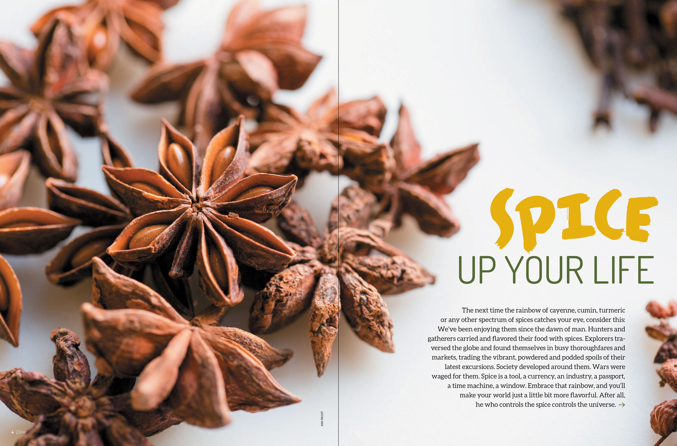 Dine-spices-editorial-design-2.jpg