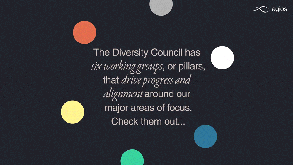 Diversity-Council-Agios.gif