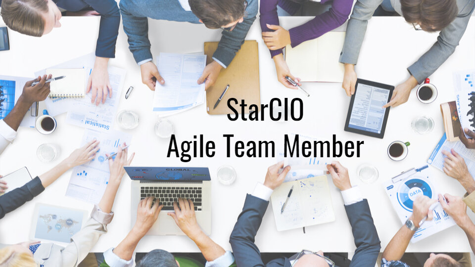 StarCIO Agile Team Member