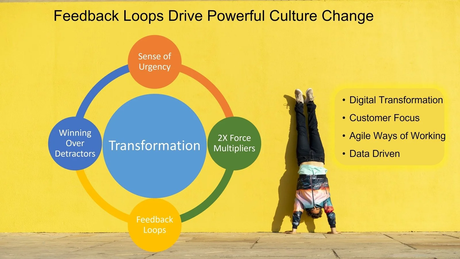How Feedback Loops Drive Powerful Culture Change in Agile and Digital Transformation