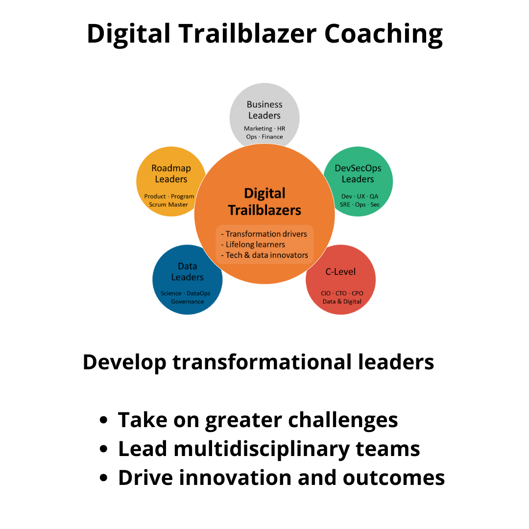 Digital Trailblazer Coaching