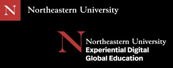 Northeastern University: Leading Digital Transformation in Organizations